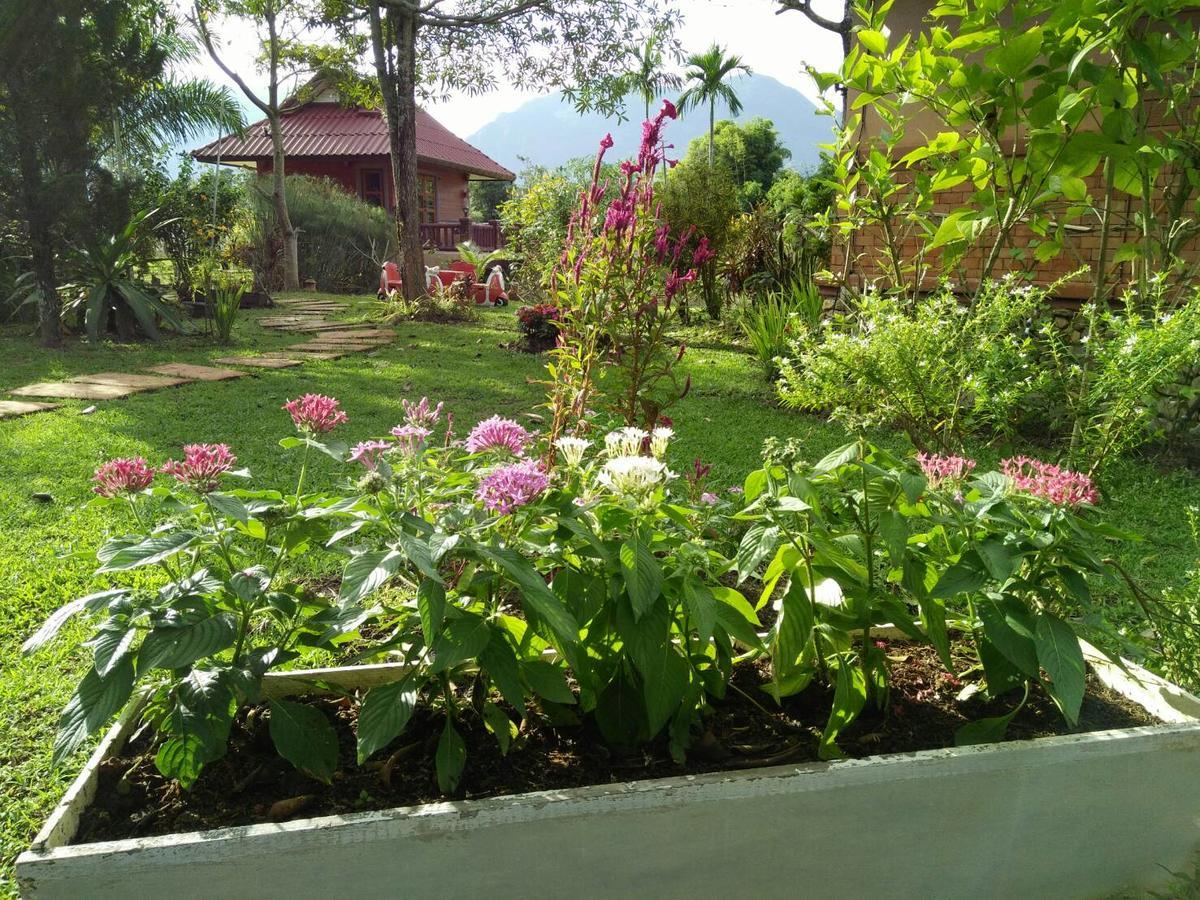 Maesai Doi View Villa Ban Dong Ma Tun Luaran gambar